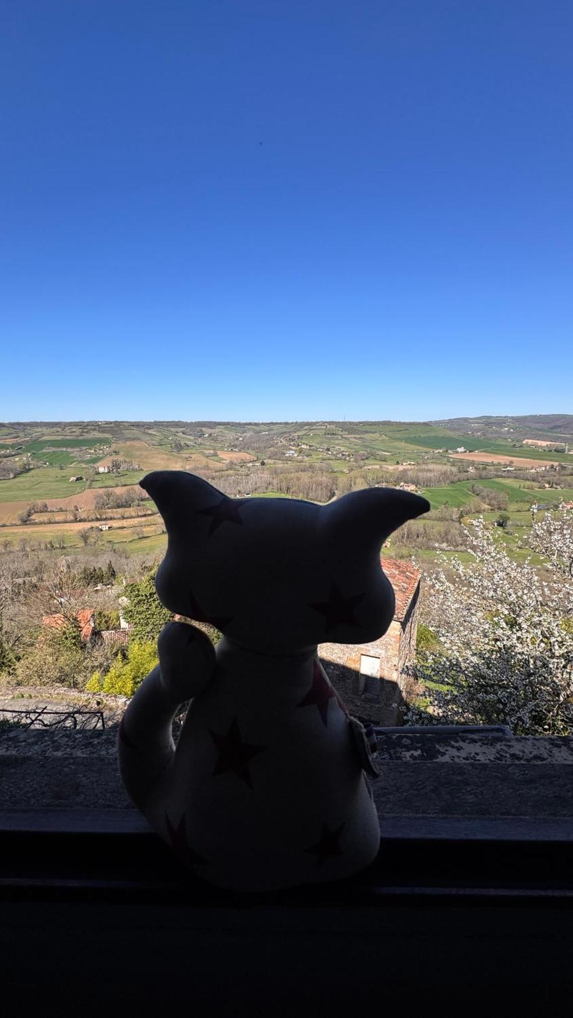 D'Ici Et D'Ailleurs Bed and Breakfast Cordes-sur-Ciel Buitenkant foto