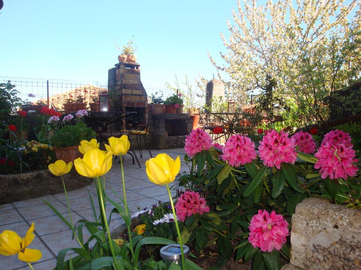 D'Ici Et D'Ailleurs Bed and Breakfast Cordes-sur-Ciel Buitenkant foto
